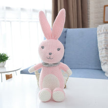 Load image into Gallery viewer, Crochet Stuffed Animal