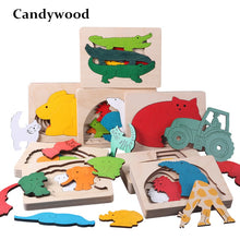 Load image into Gallery viewer, Montessori Multi-layer Wooden puzzle