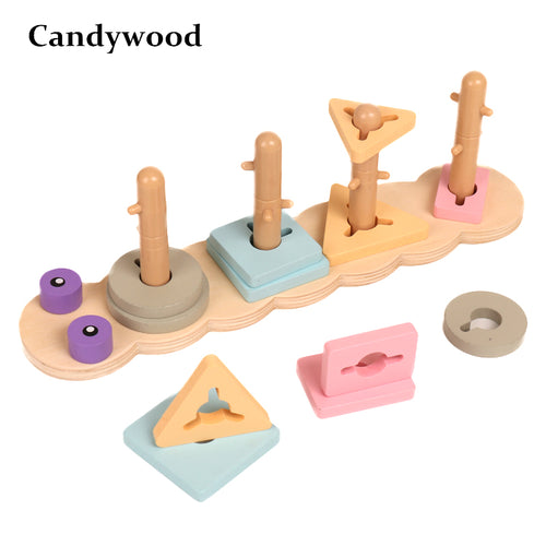 Montessori Wood Shape Matching Set